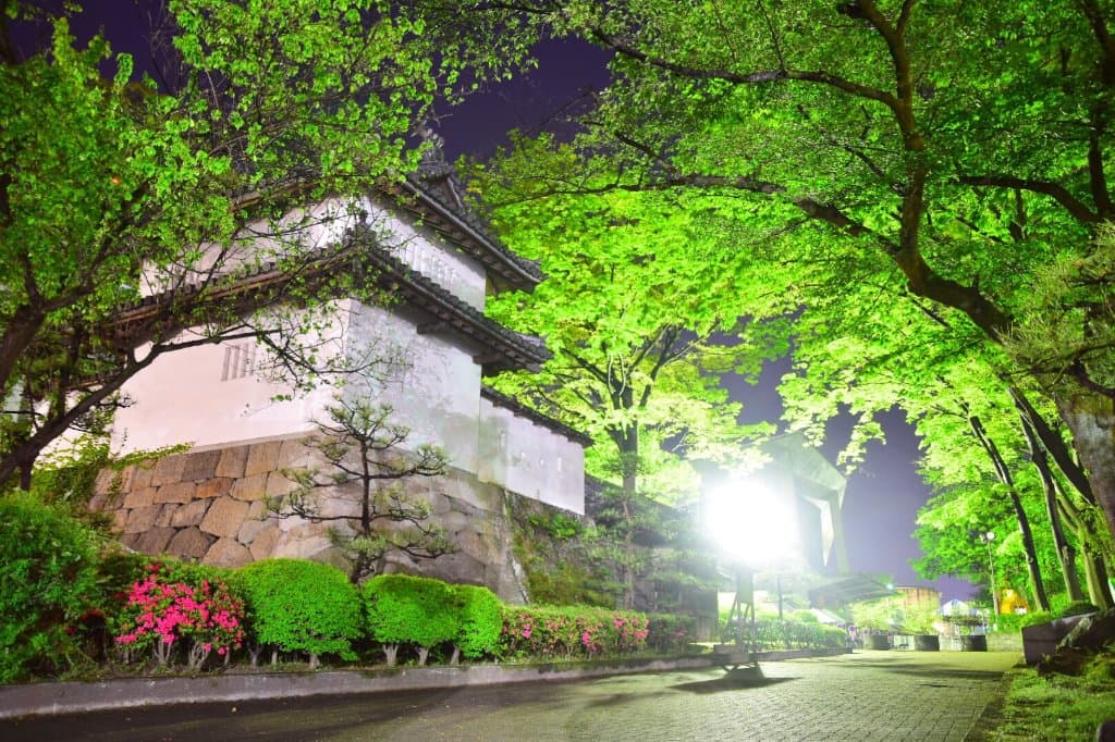 Takasaki Castle Ruins