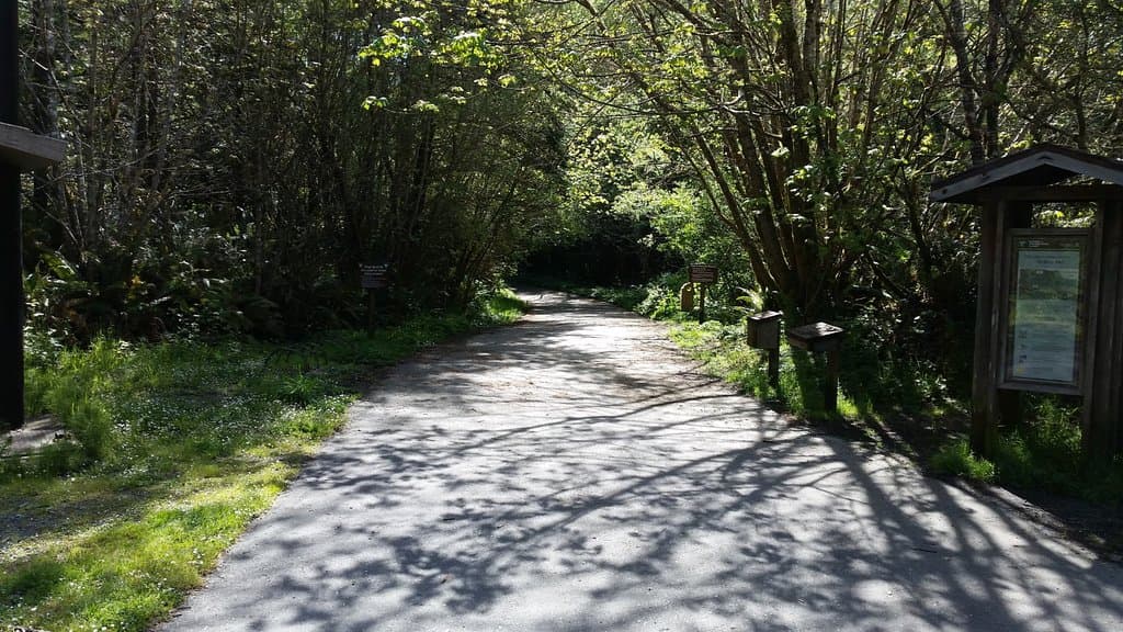 start of the trail