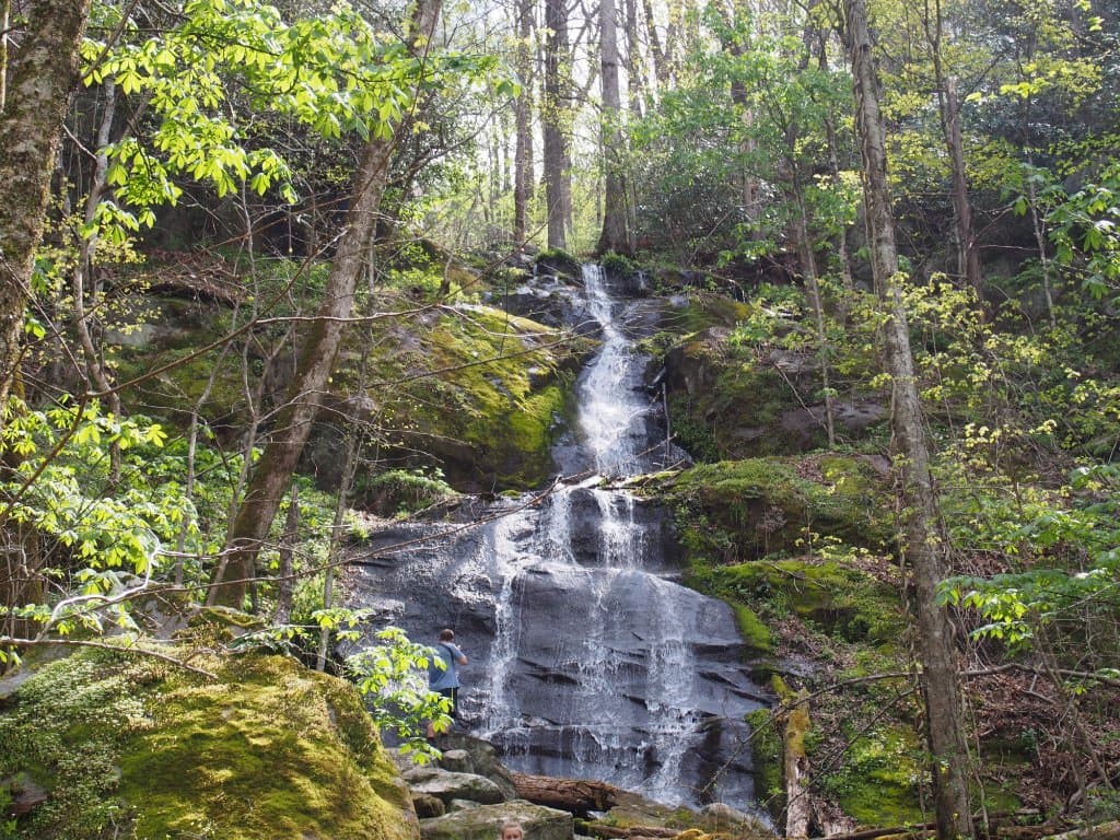 the falls