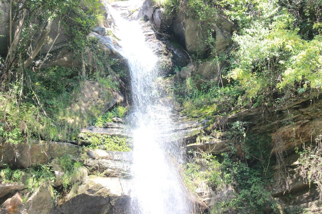 view55