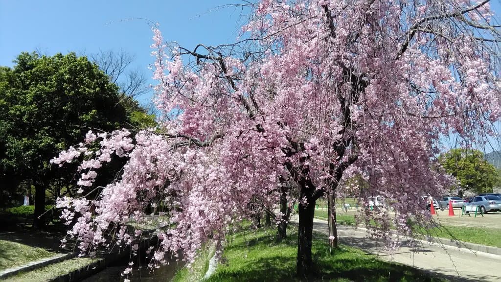 Central Park Chuo Park Motomachi