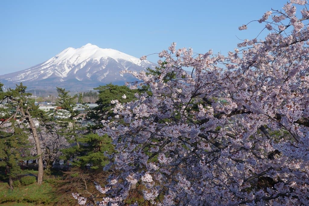 弘前城から見た岩木山