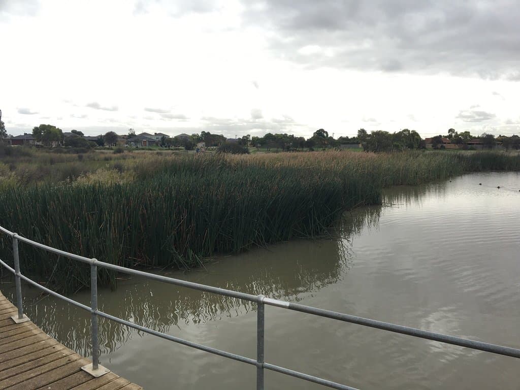 Heathdale Glen Orden Wetlands
