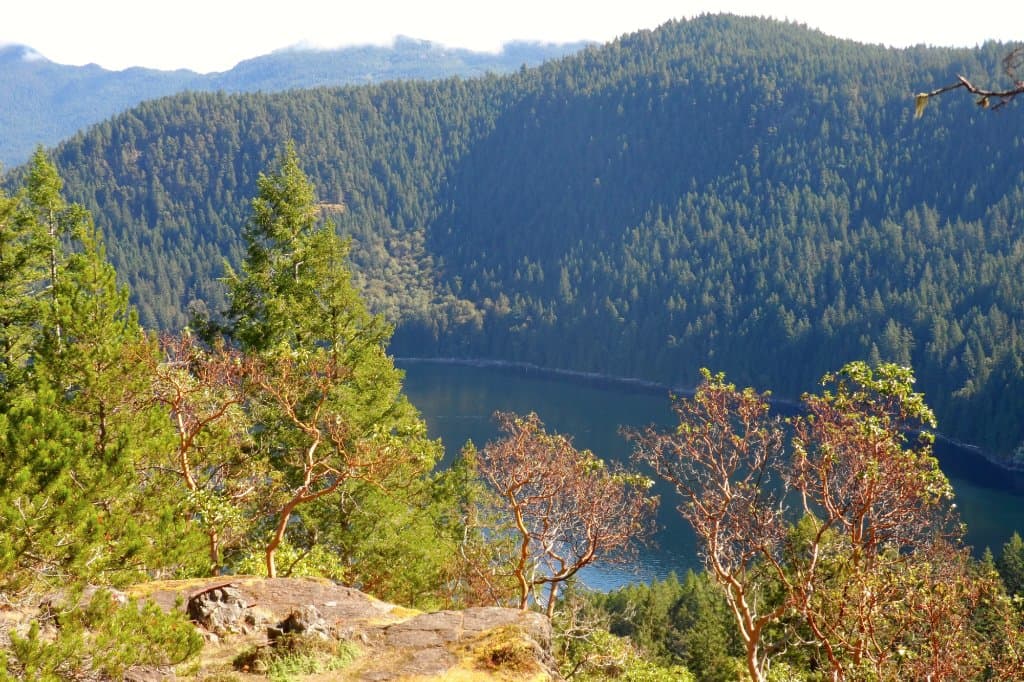 Powell lake on other side