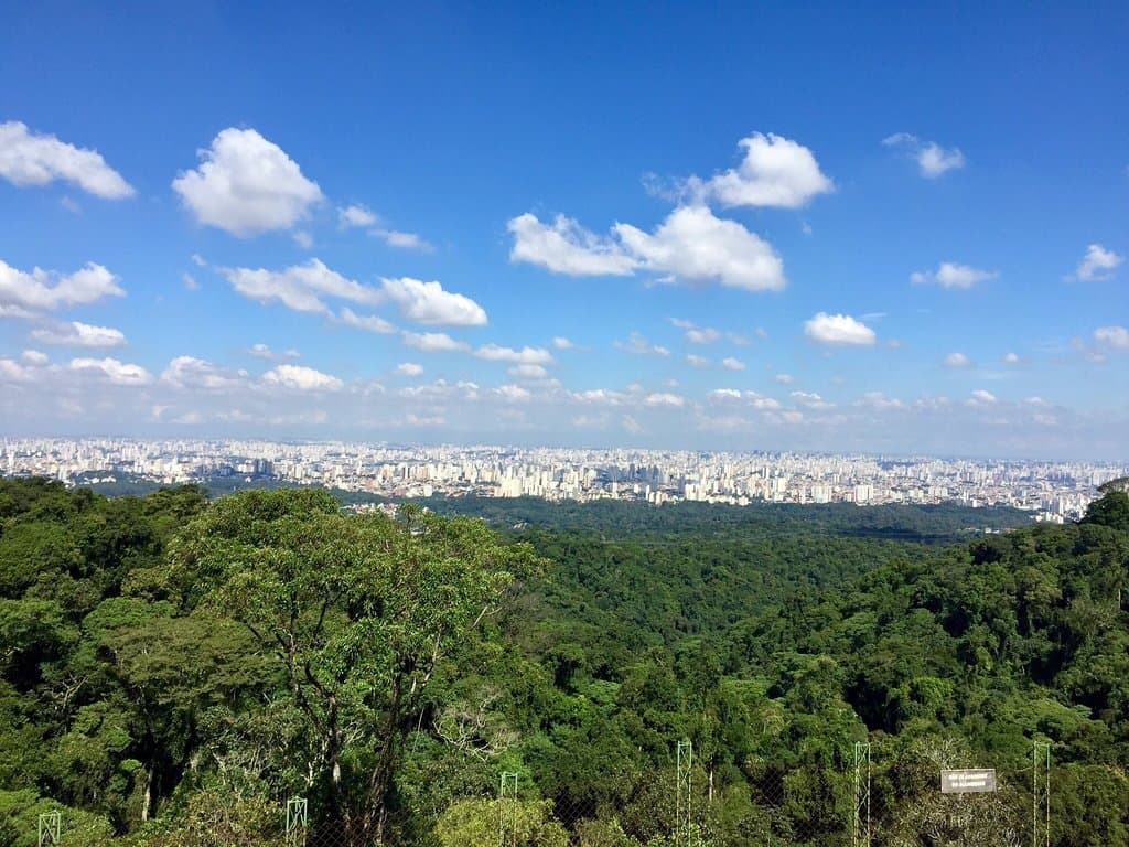 Cantareira State Park Pedra Grande Nucleus