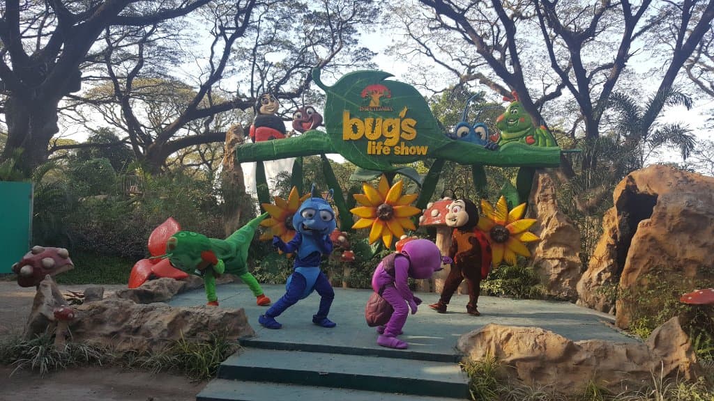 Kid's show w bubble show