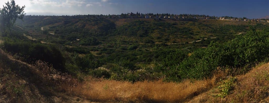 Panoramic view Rice Canyon Trial