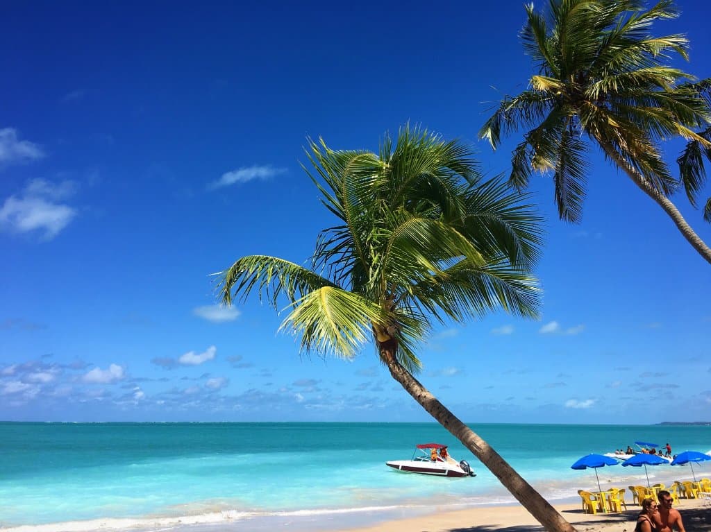 Verdadeiro Paraíso