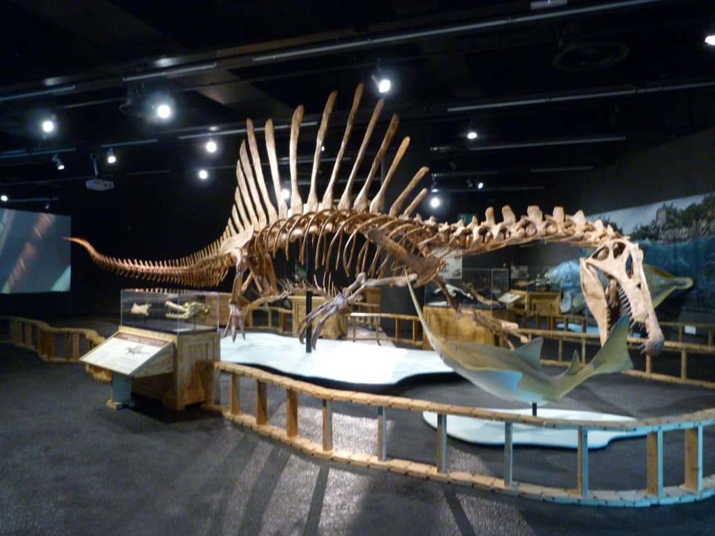 Museu Blau (Natural Science) Barcelona