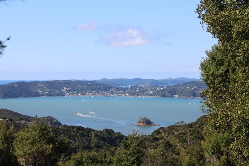 Paihia - Opua Forest Lookout 6