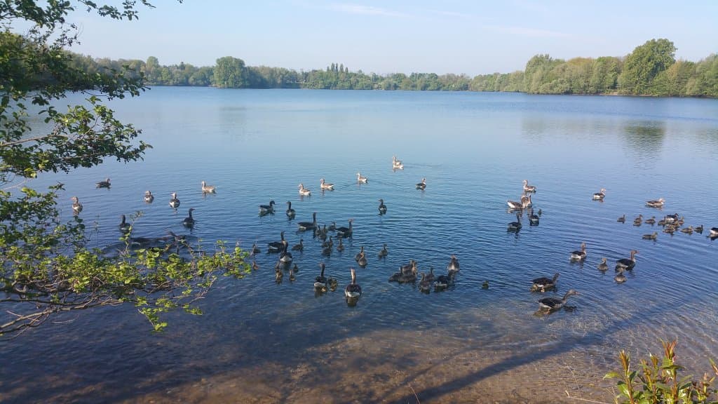 Toeppersee