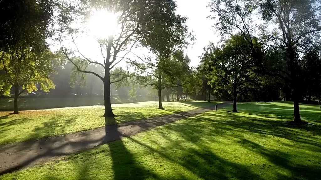 Vroesenpark