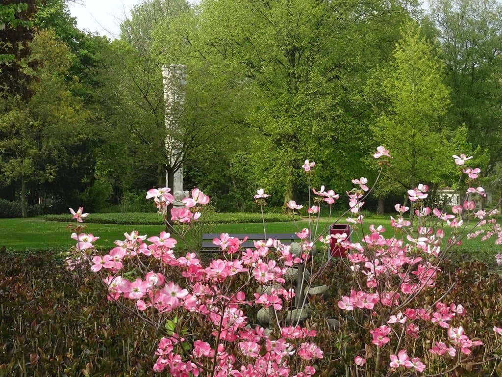 PARK MERWESTEIN