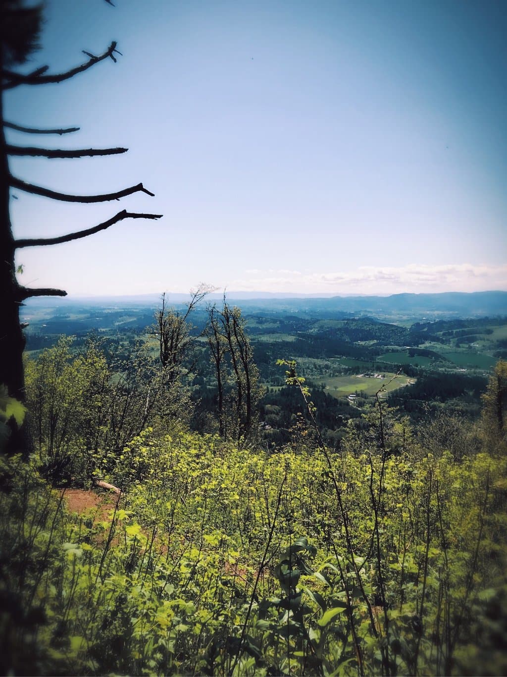 There's a bench now (finally), where you can seat & enjoy the view!