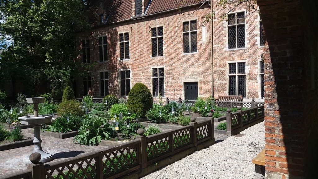 Woning met tuin