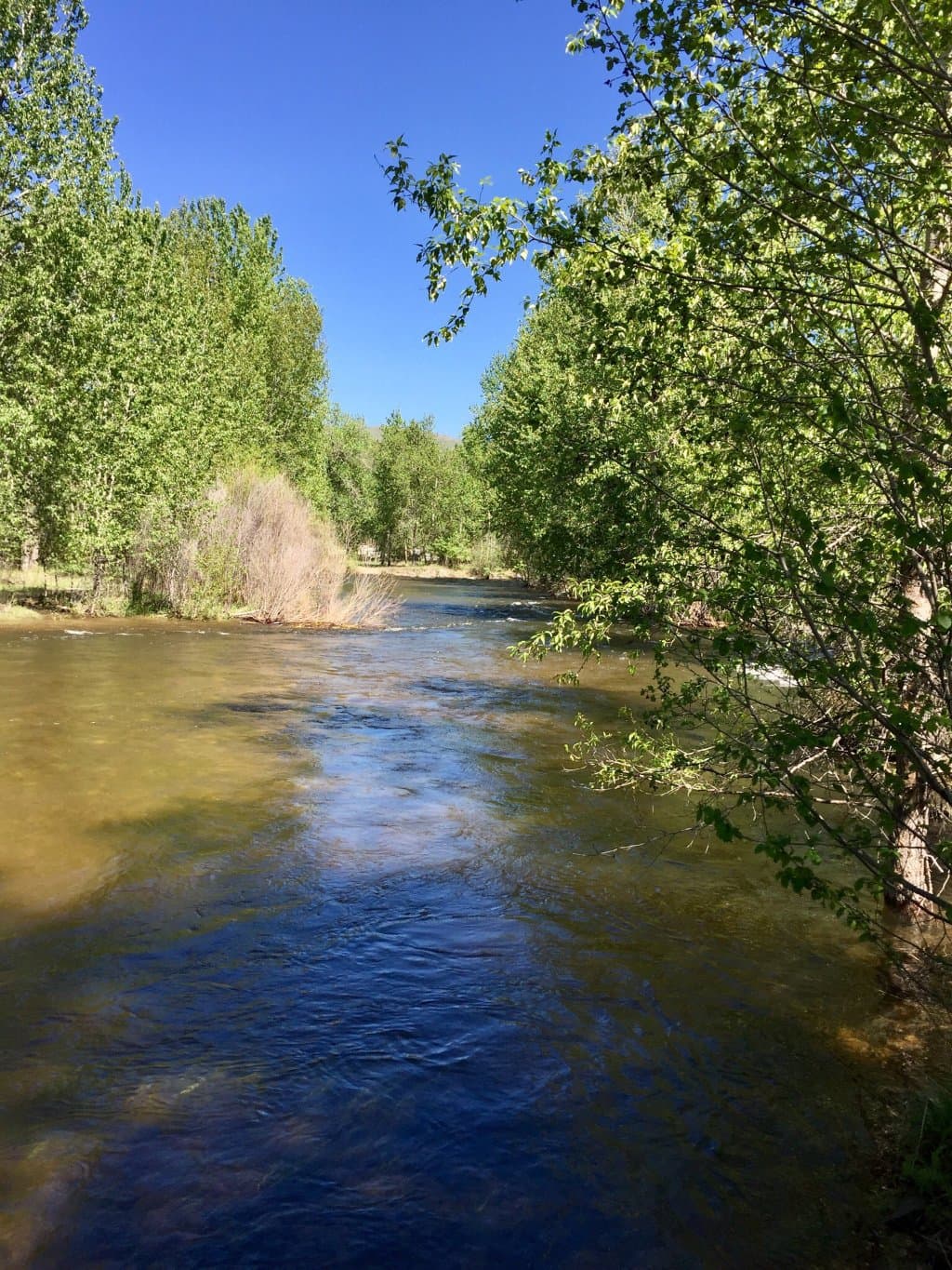 Travelers' Rest State Park