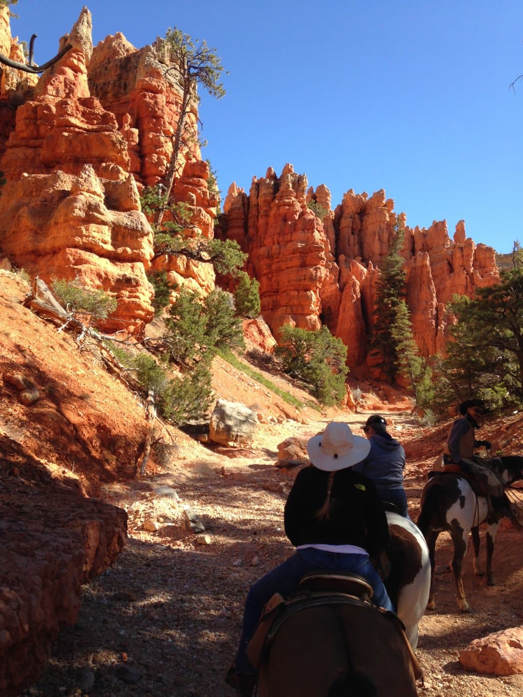 Early in the Thunder Mountain ride