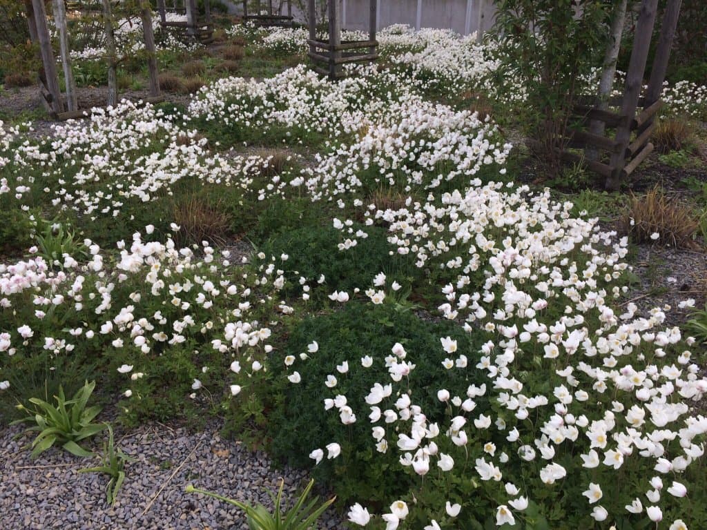 Relax at Gleisdreieckpark