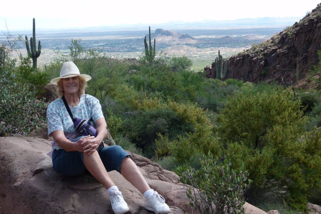 View from the petroglyphs (looking south)
