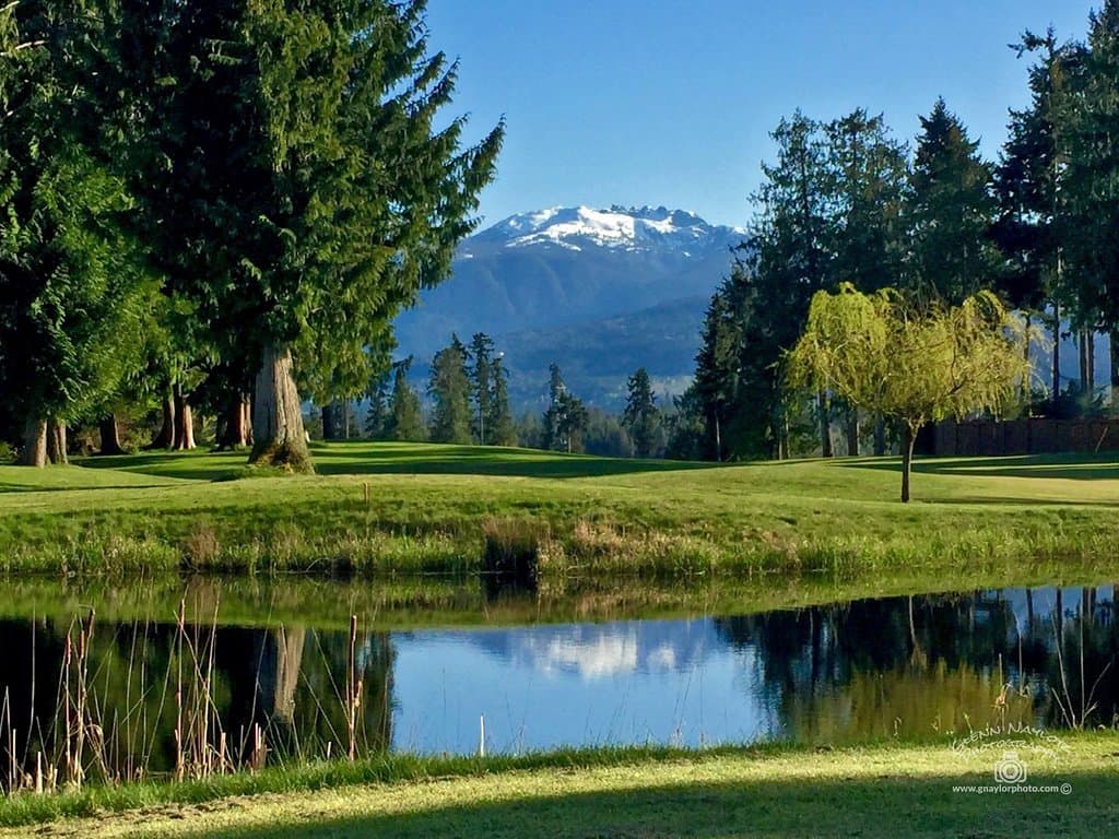 View from outside restaurant