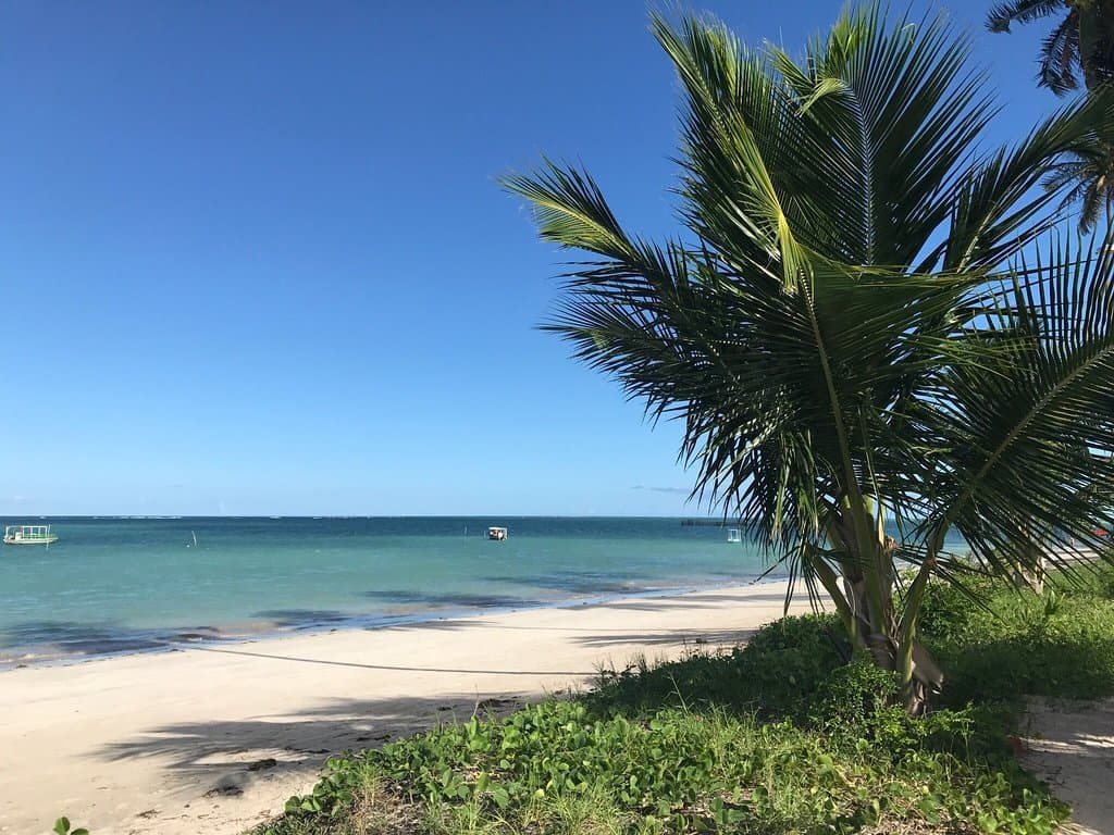Ponta do Mangue Beach