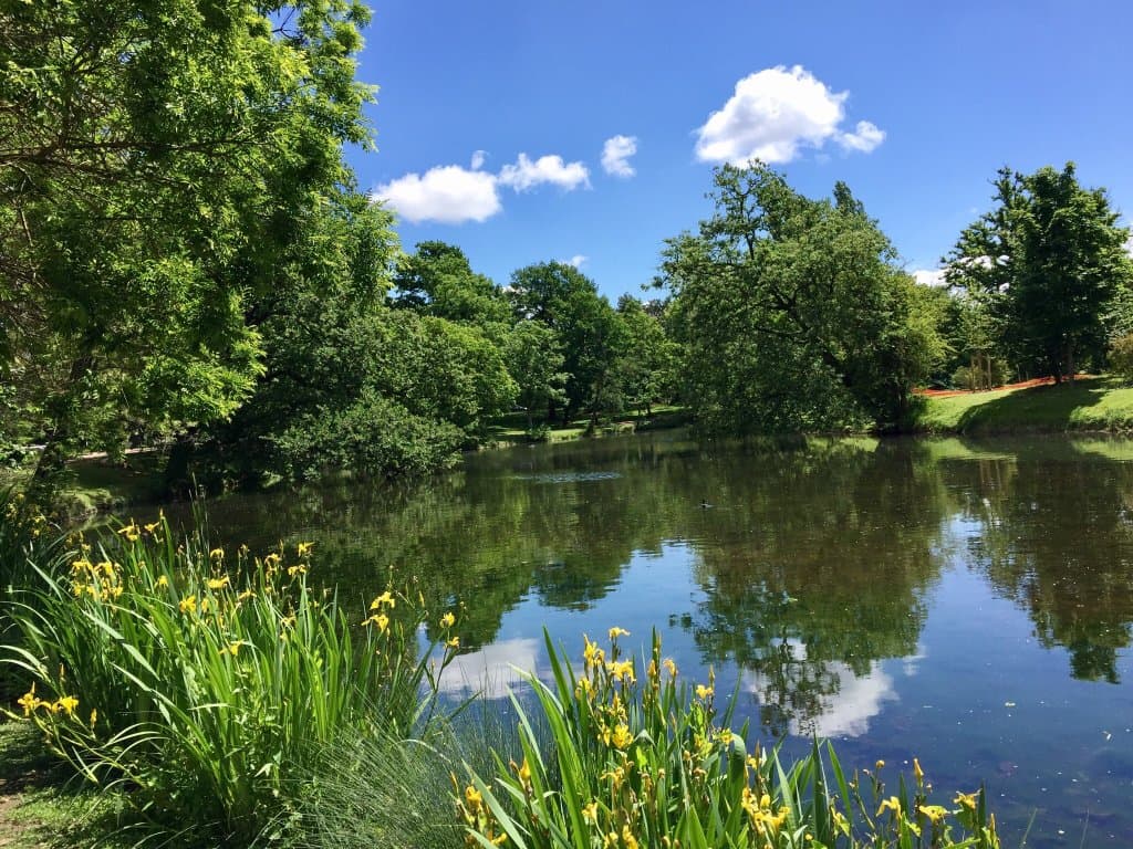 Parc des Ibis