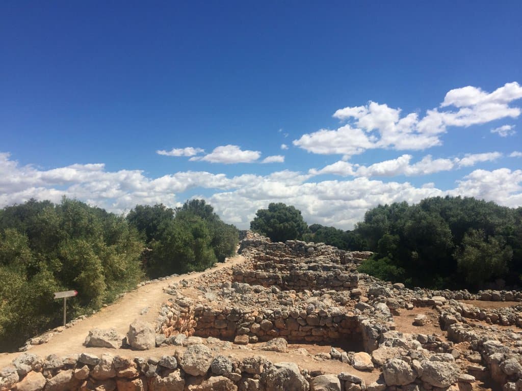 Part of the site