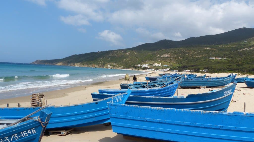 Dalia beach