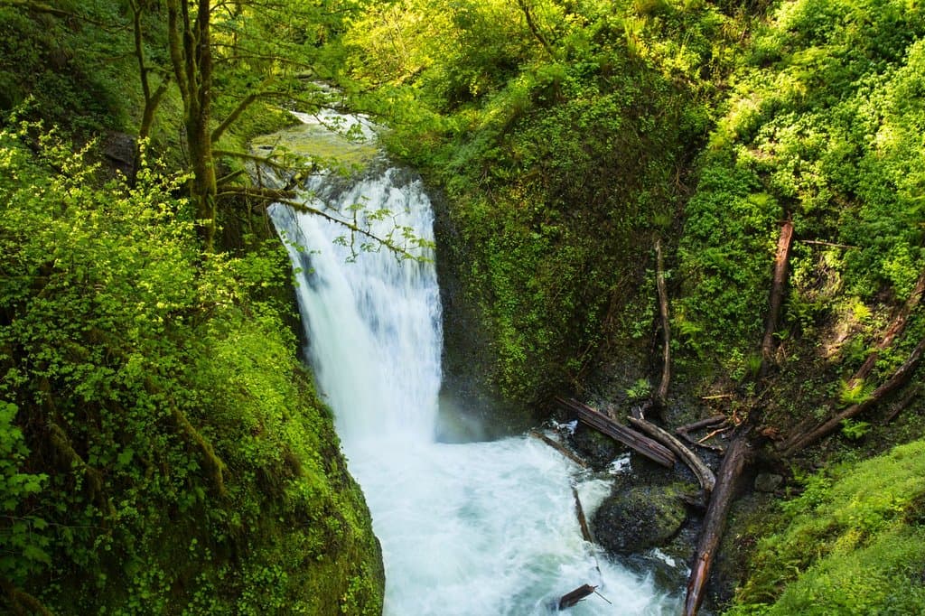 The Middle Oneonta Falls on the Oneonta Trail
