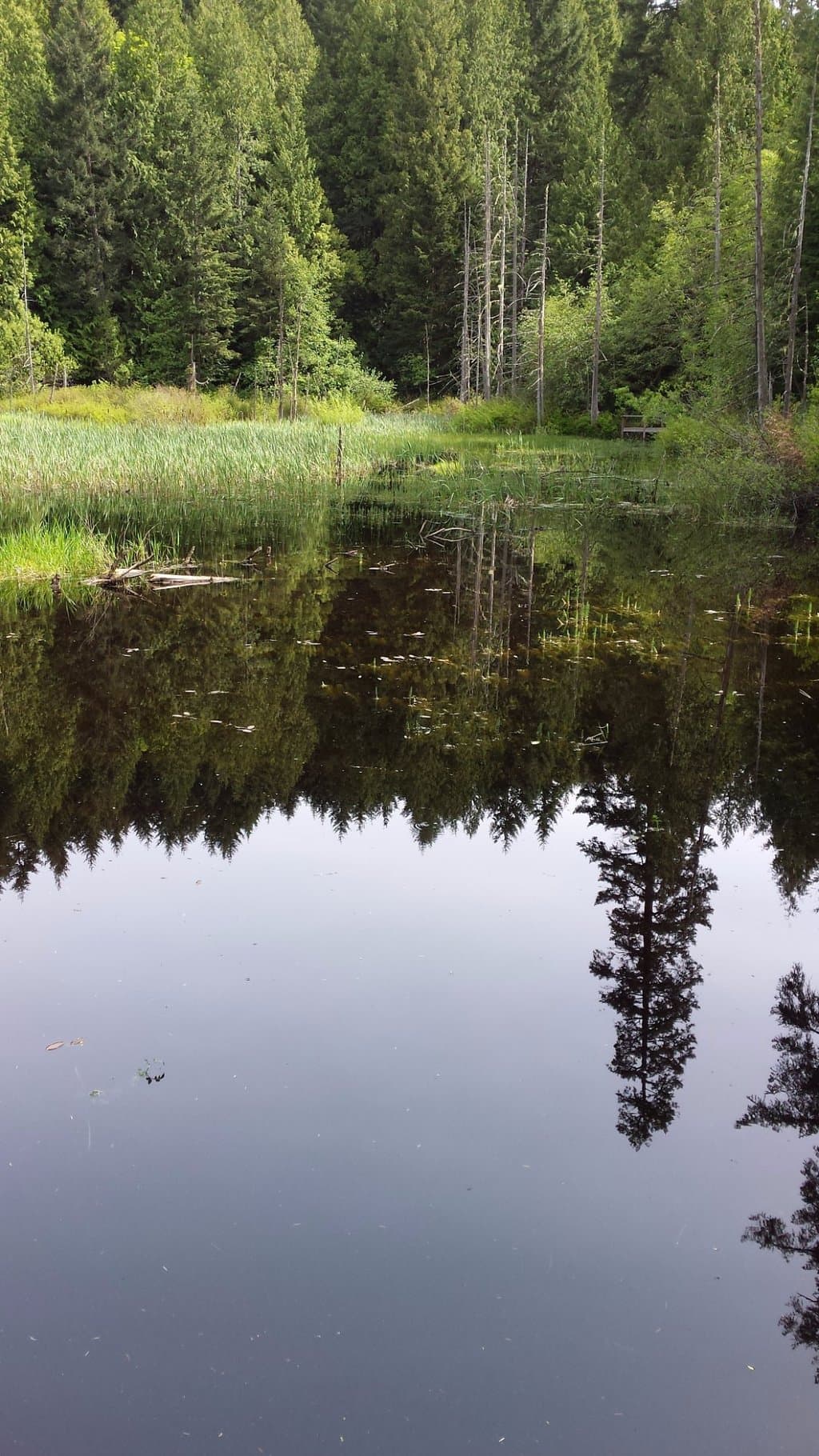Very serene water view.