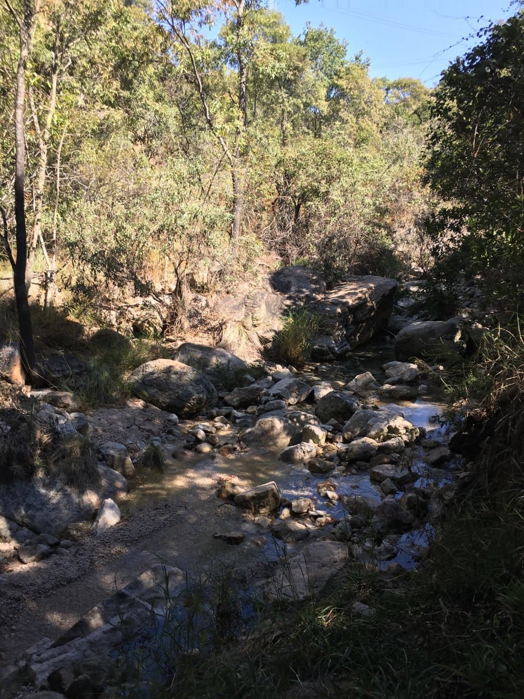 Magaliesberg Canopy Tour