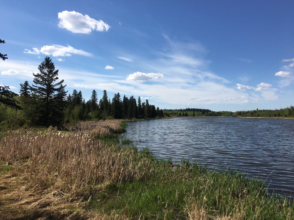 Kerry Wood Nature Centre