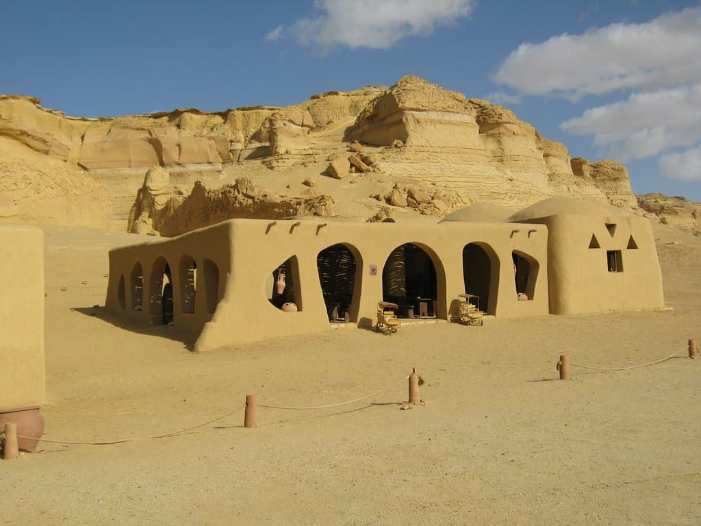 Wadi Al-Hitan (Whale Valley) Cairo