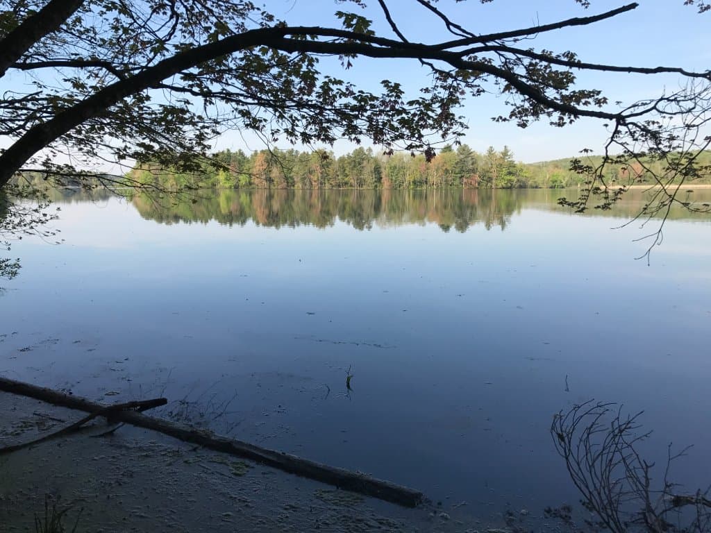 Early morning view of the Nashua River near Pepperell, MA.