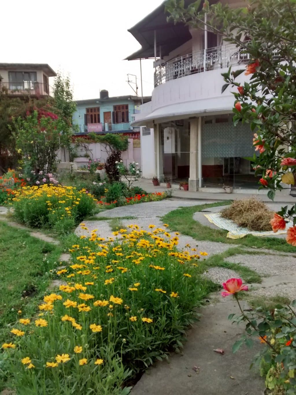 Sobha Singh Art Gallery garden