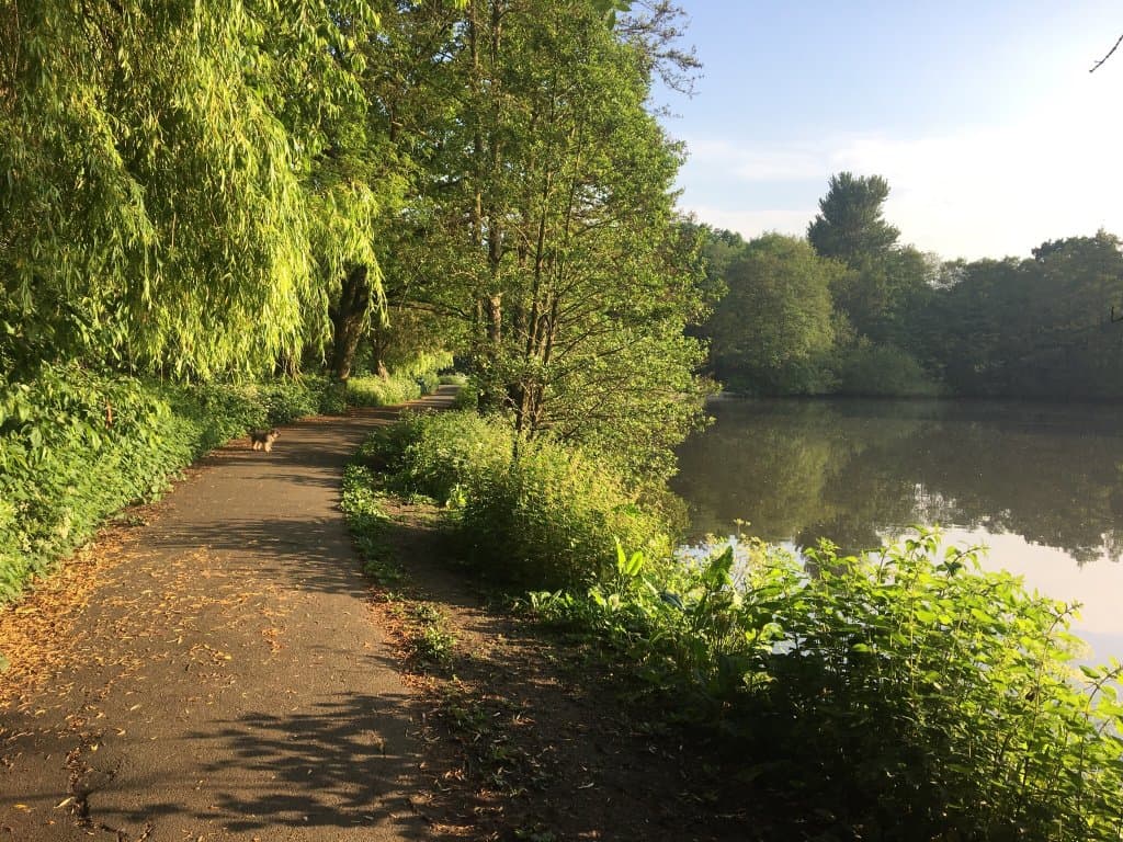 Elmdon Park