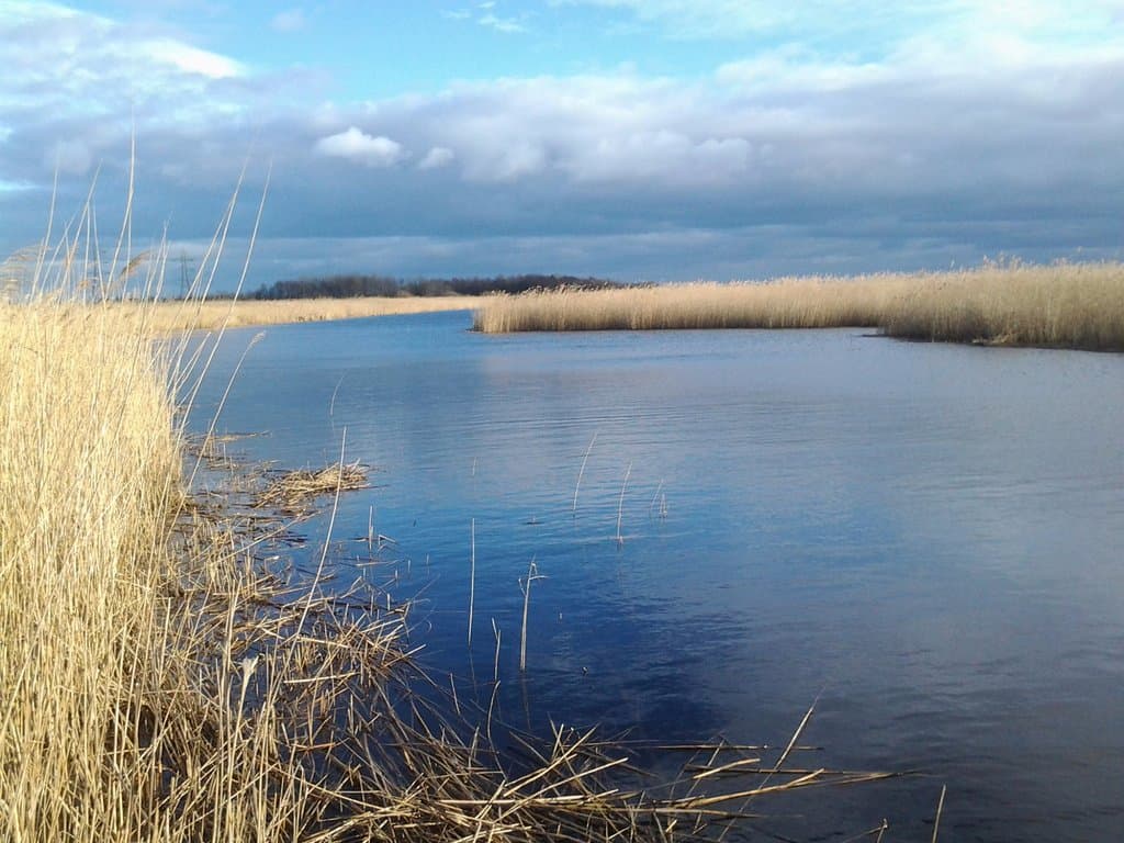 Newport wetlands park and recreation area