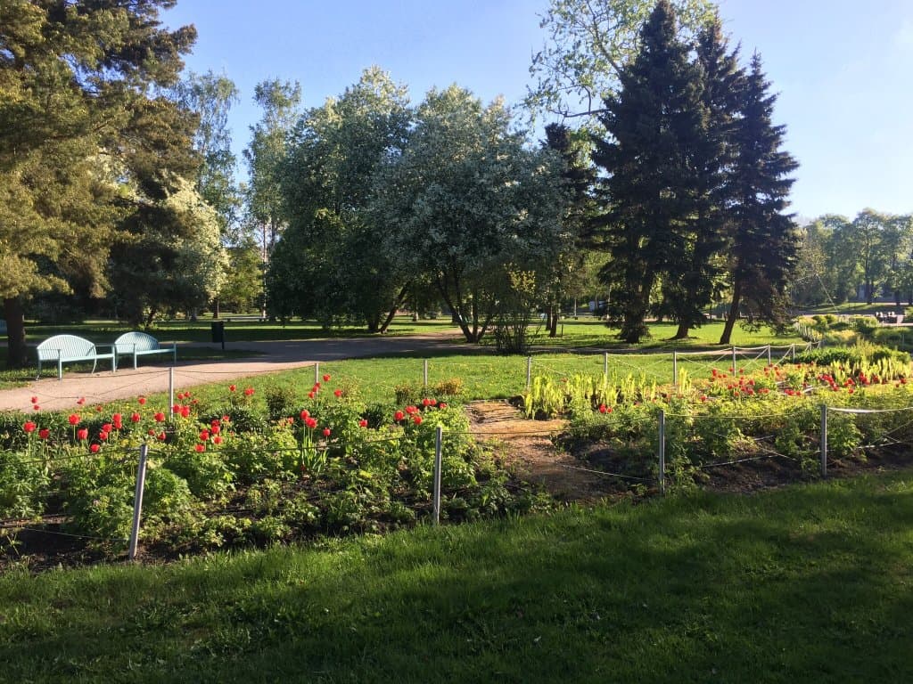 Kupittaa Park