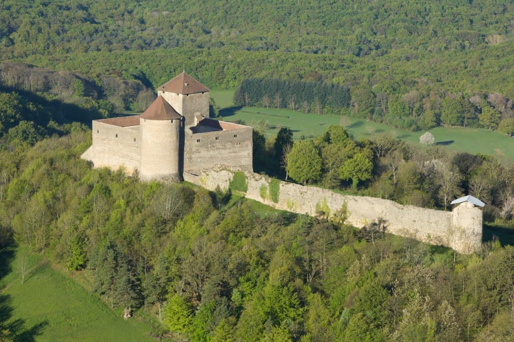 Vue du château depuis le mont Luisandre