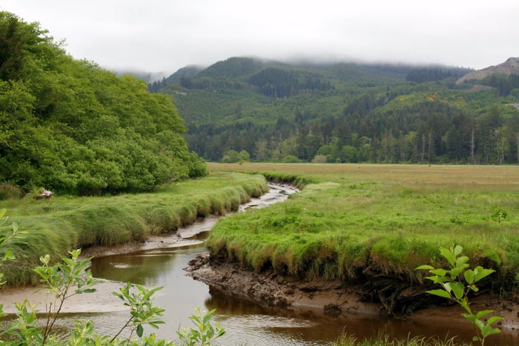 the waterway through the refuge