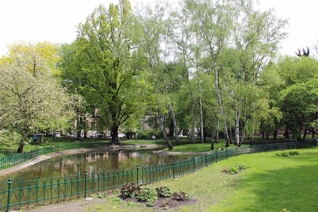 Bednarski Park