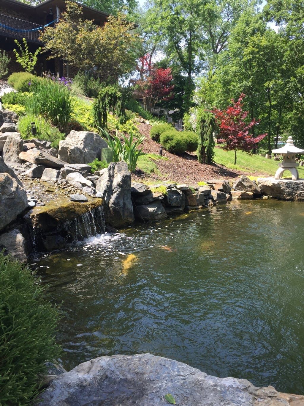 Fabyan Villa Museum and Japanese Garden