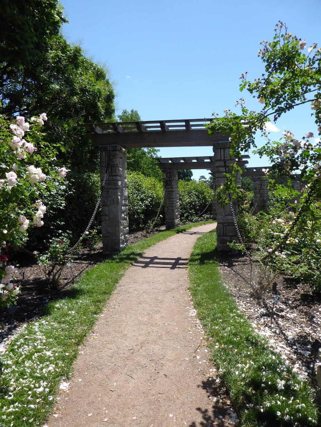 Path