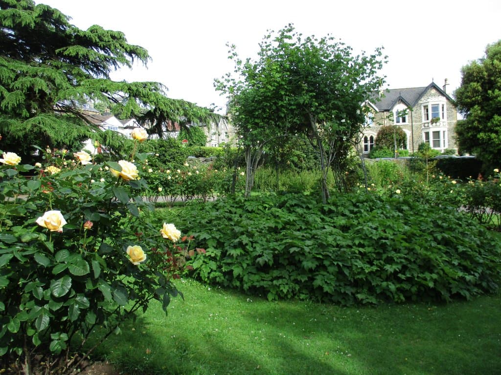 Alexandra Gardens