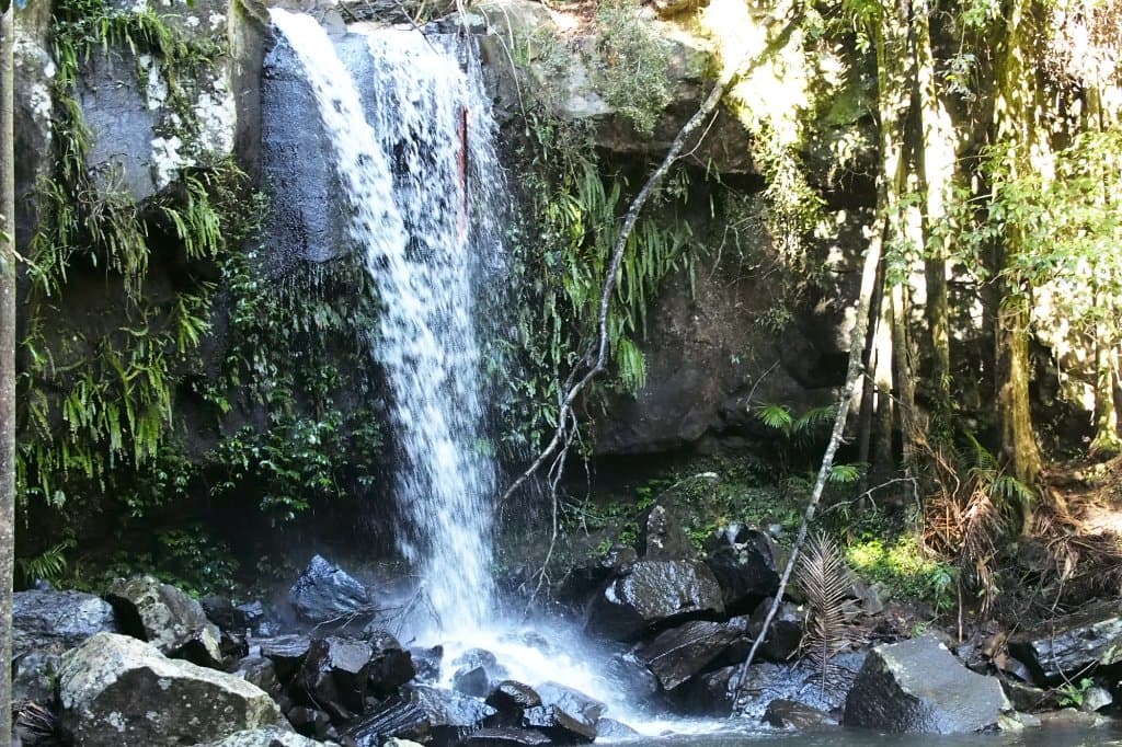 国立公園の終着点は自然の滝