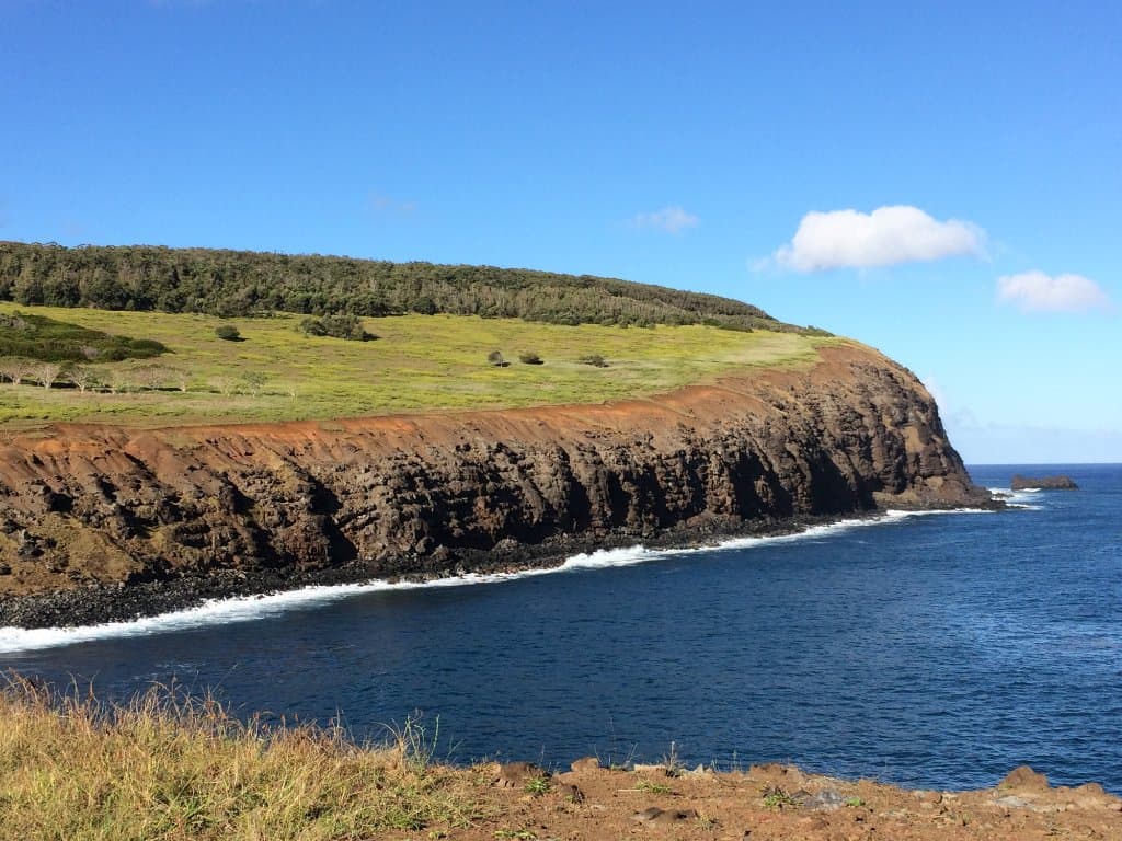 Beautiful coastal view from AnaKai Tangata