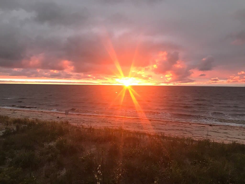 Pickering Beach