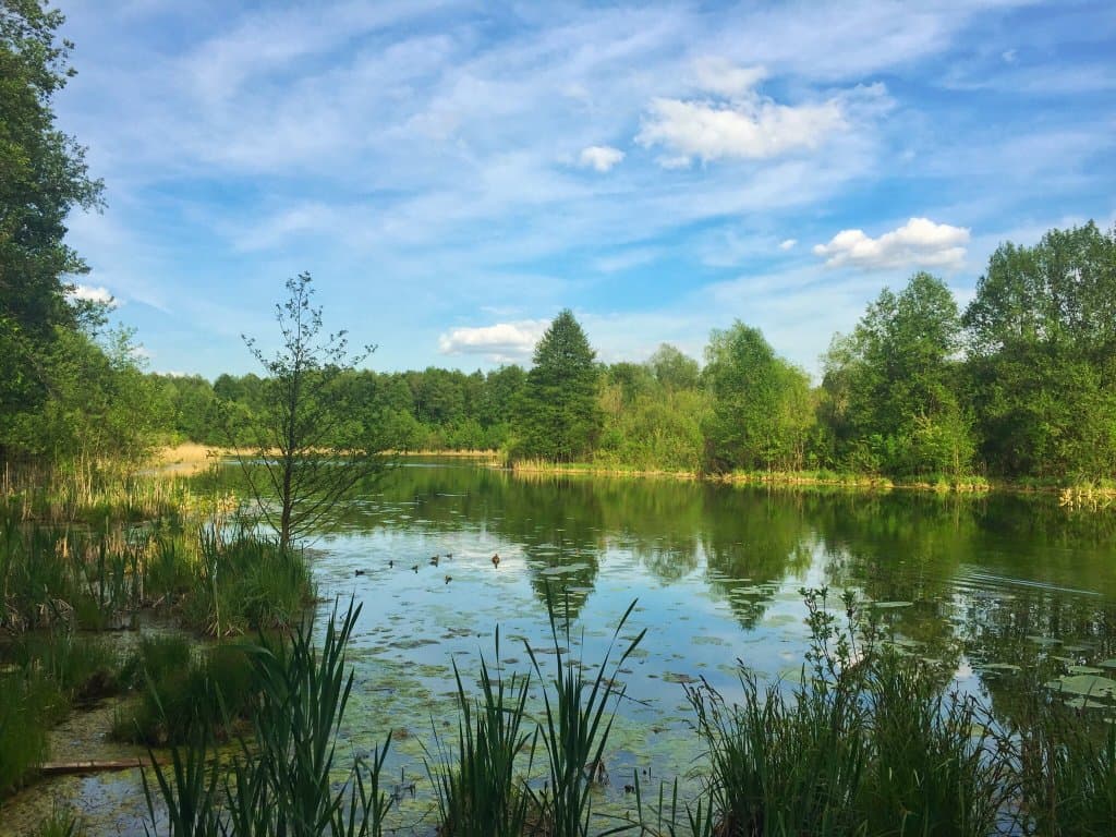 Blue Lakes Golubye Ozera