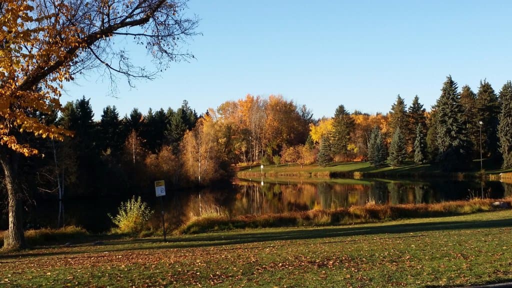 Photo taken early morning in September