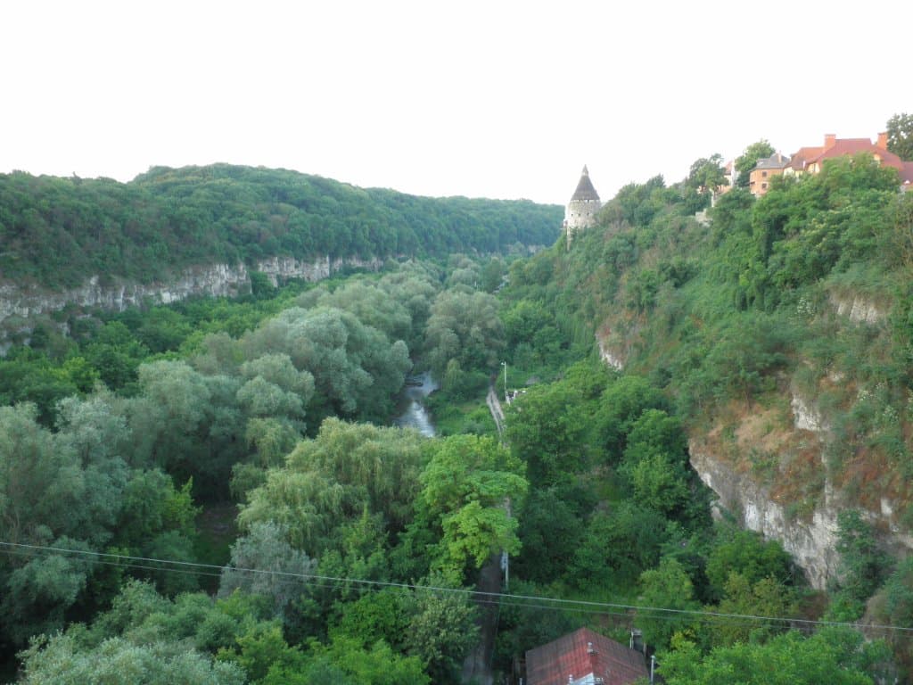 橋の上から見た景色(反対側)